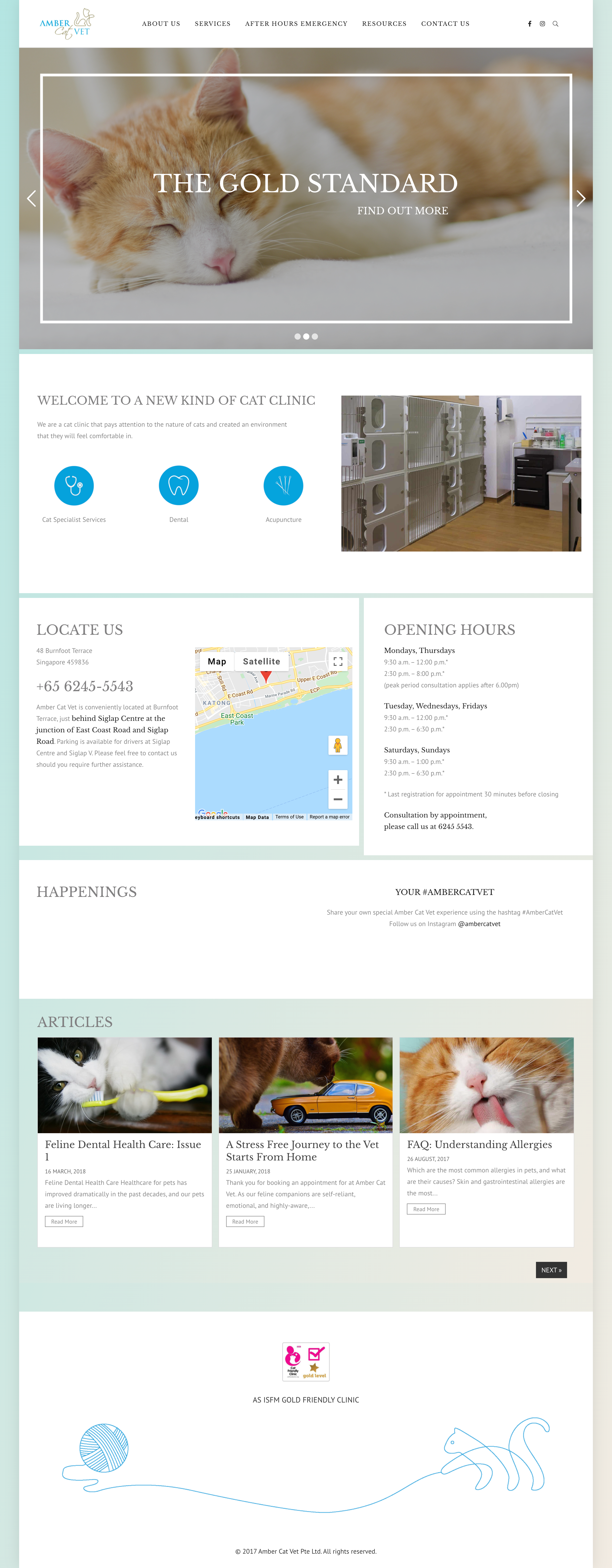 screencapture-ambercatvet-2021-08-26-12_06_16