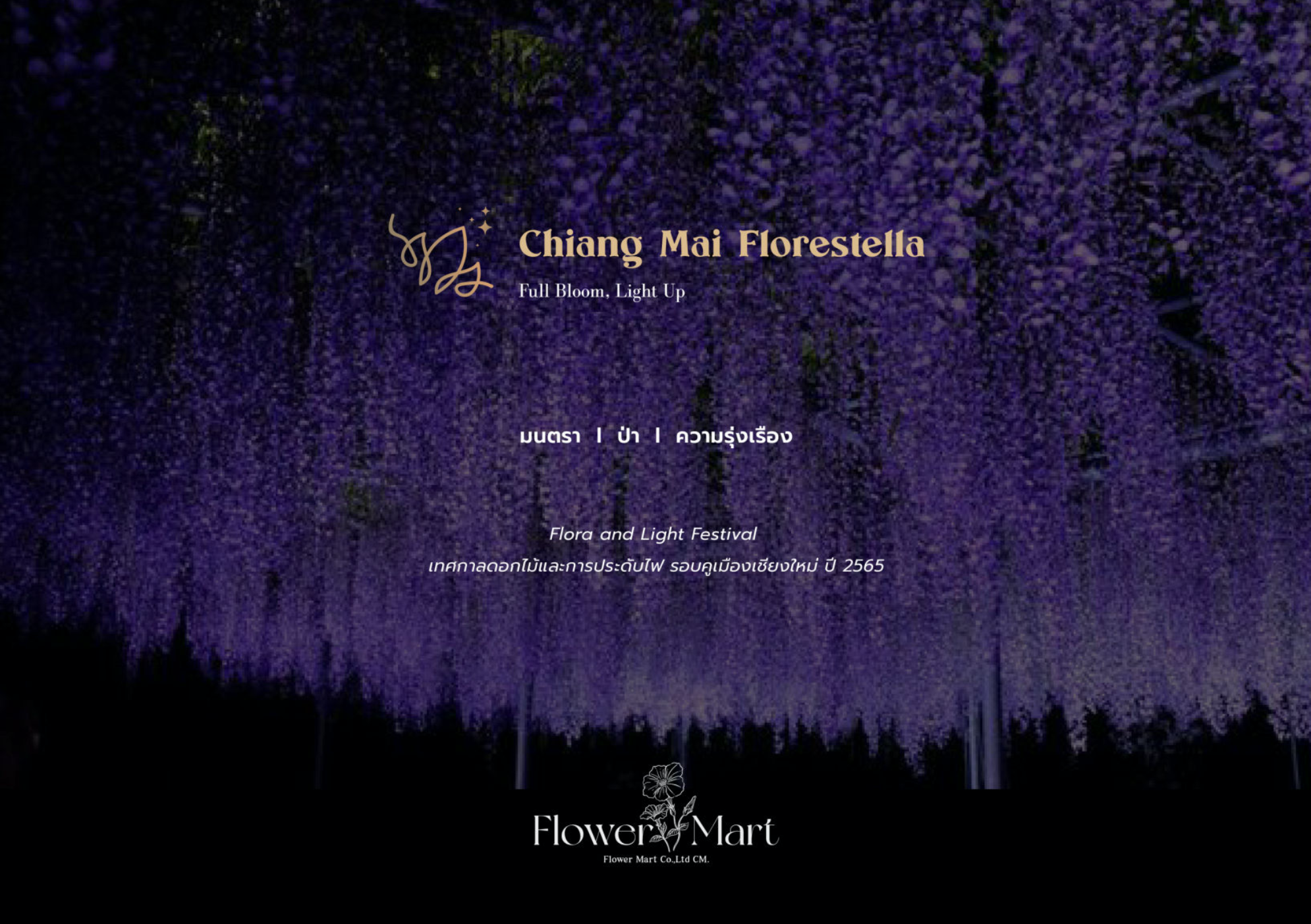 Screen Shot 2567-05-29 at 22.01.13